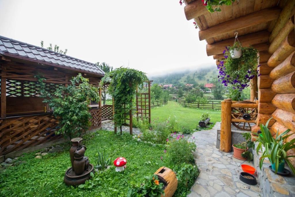 The Lodge Moieciu de Jos Exterior photo